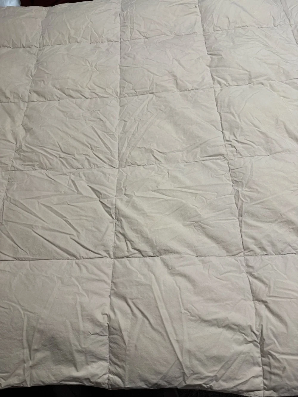 Ralph Lauren RLR Reversible Down Alternative Comforter Twin Plaid /Beige FLAWED
